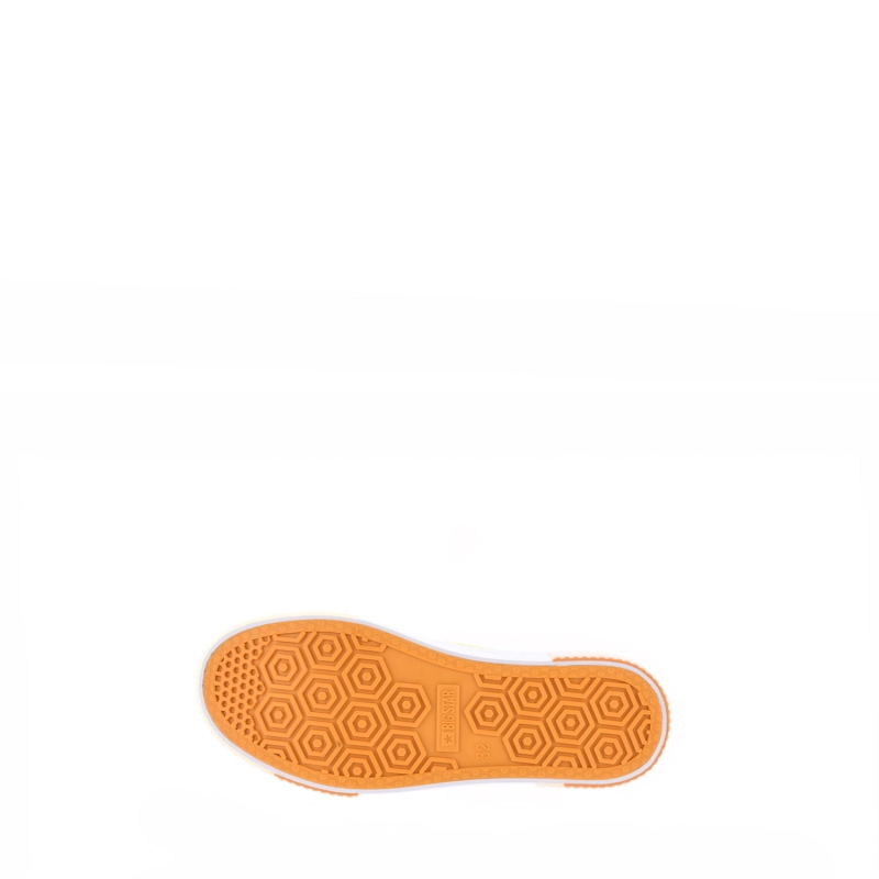 27310.jpg