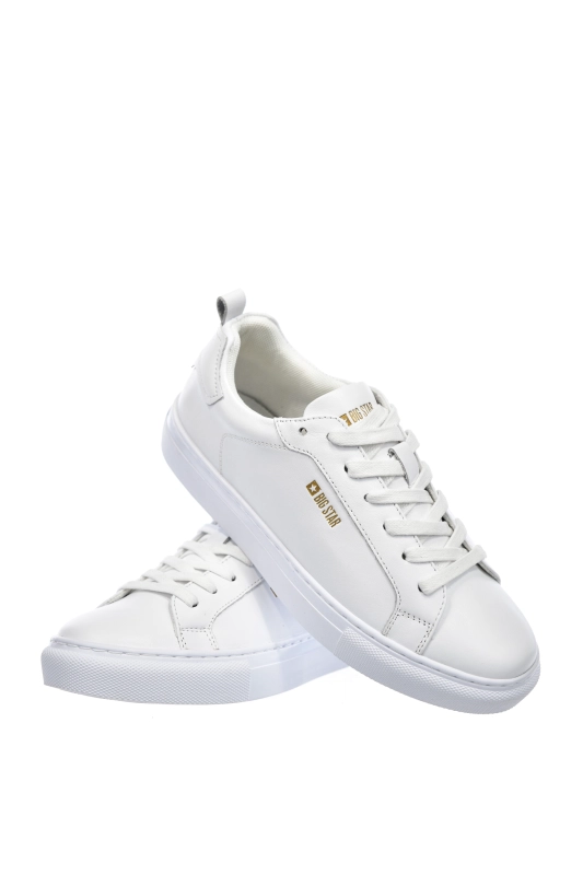 5bcf615fe3be1b678d04385f0a9a88b6.png