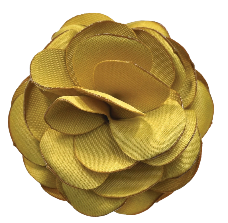 fb022ece73df58addc79b4c2f1f36eb2.png